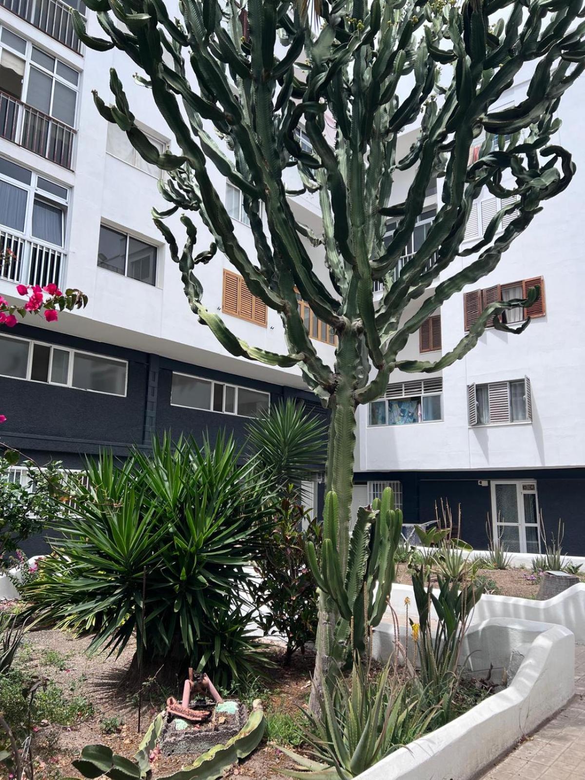 Relax Apartamento 3 Las Palmas de Gran Canaria Ngoại thất bức ảnh
